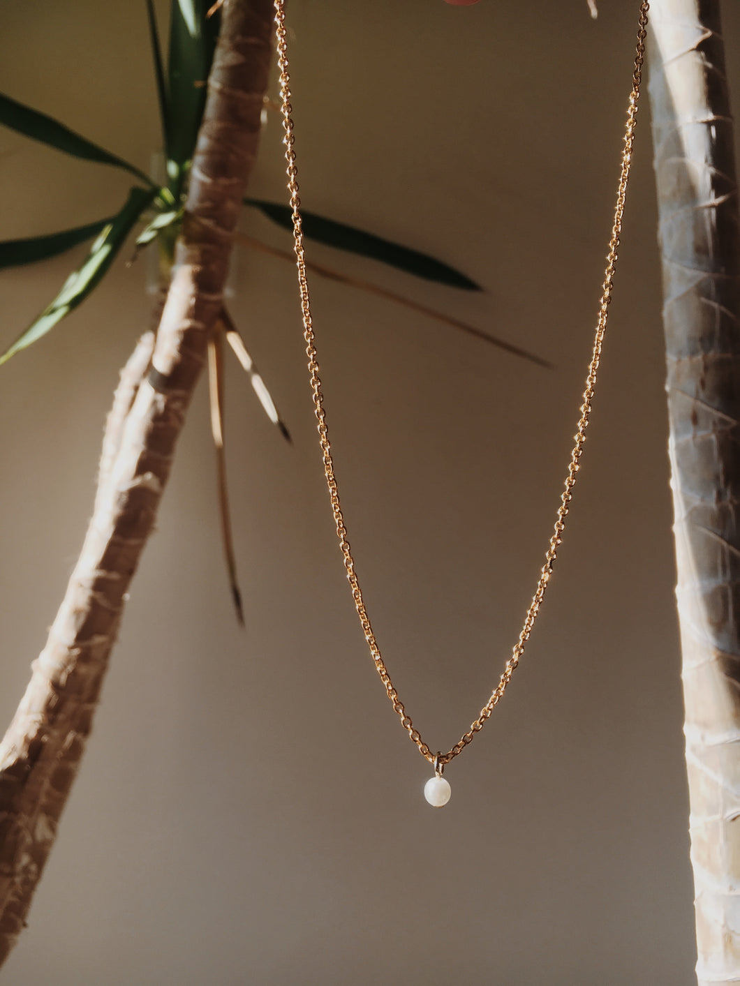 Pearl & Golden Chain Necklace