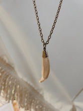 Load image into Gallery viewer, Imitation Ivory Tusk Earrings
